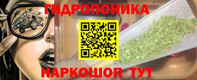 дживик Заводоуковск