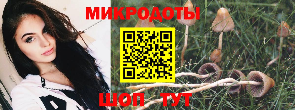 Галлюциногенные грибы мицелий  Вход с VPN  Галлюциногенные грибы мухоморы  Магнитогорск 